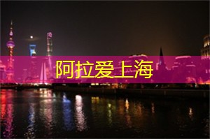 向前冲！上海论坛为你开启未来城市发展的大门！