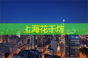 在夜生意盎然的集市中探险